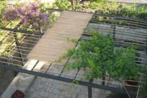 Guest House Ljubiša, Sveti Stefan