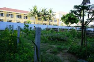 Seasing Boutique Hotel, Nha Trang