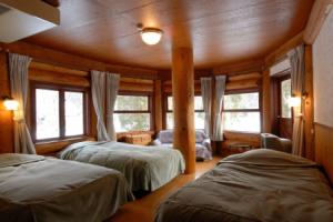 Hakuba Log Hotel Meteor, Hakuba
