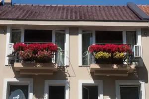 Vida`s house, Virpazar
