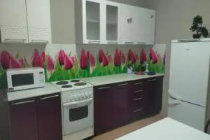 Apartments in Tsarskiy 11 residential district, Chita