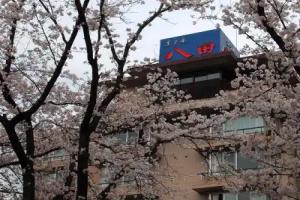 Hotel Hatta, Fuefuki