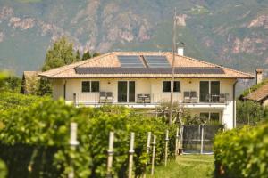 Weingut am Platzl Hotel, Piazzetta