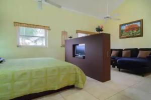 Ocean Dream 3d floor studio w/balcony, Cabarete
