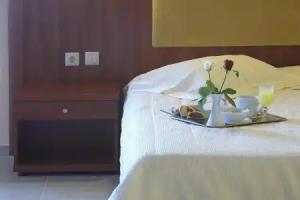 Parnis Palace Hotel Suites, Athens