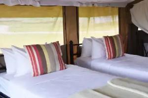 Polo Safari Club, Arusha