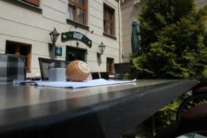 Parkhotel Plauen, Plauen