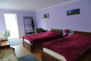 Nino Khetaguri Guest House, Kazbegi