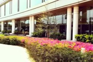 Hotel Welview Kagoshima, Kagoshima