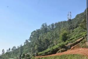 Manuka Hillwood Hotel, Nuwara Eliya