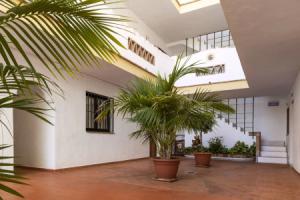 Crown Resorts Club Calahonda, Mijas Costa