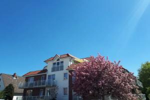Auf der Düne Cottage, Cuxhaven