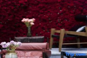 Bamboo Pavilion·Grace: A Panoramic Sky Garden Art Homestay with Ancient City and Snow Mountain Views, Lijiang