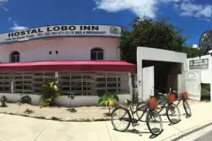 Lobo Inn - Hostel, Tulum