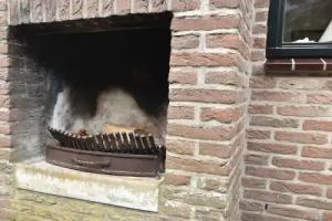 Lovely Holiday Home in with Terrace, Bergen Aan Zee