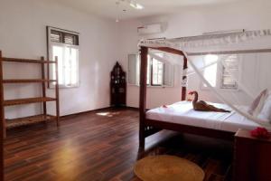 Culture's apartment, Paje
