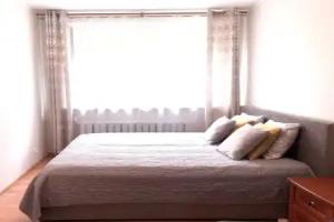 Comfy classic apartment in, Trakai