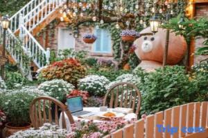 GUANXIN · Half a Mile | Monet Garden Inn Monet Garden, Lijiang