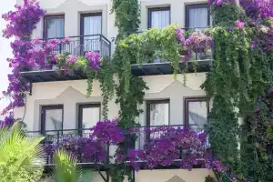 Golden Age Crystal Bodrum - All inclusive Hotel, Guemuesluek