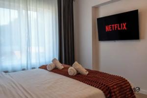 MoHost Noua 3 Apartments, Brasov