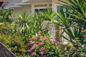 Alkyonis Hotel, Laganas