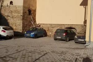 Lucky, Veliko Tarnovo