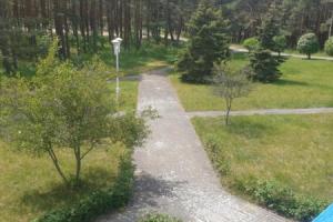 Kūrybingi svečių namai PLUNKSNA Hotel, Nida