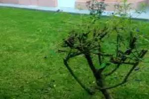 Apartment With 2 Bedrooms in, With Pool Access, Salou