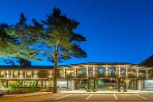 Hotel Pušų paunksnėje, Palanga