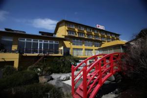 Hotel Kaminoyu Onsen, Kofu