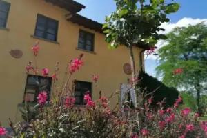 Podere Piandarca, Terranuova Bracciolini