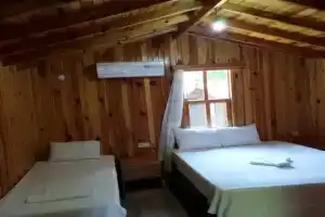Zakkum Pansiyon Hotel, Olympos