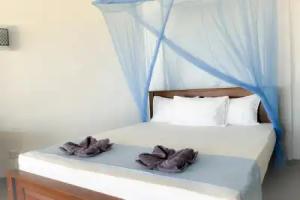 Pearl Island Beach Hotel, Hikkaduwa