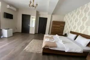 Borjomi Central Hotel, Borjomi