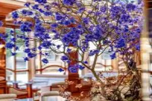 Grandhotel Pupp, Karlovy Vary