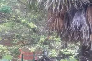 Hotel Cottage, Mtskheta