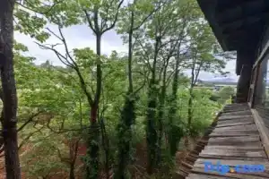Lijiang junayuanzhu Homestay, Lijiang