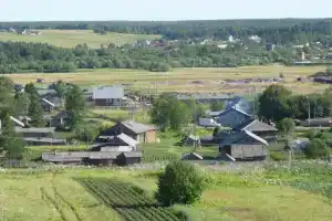Nadezhda, Vizinga