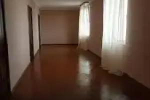 Guest House on Chanba 54, Gagra