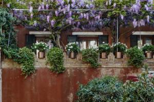 Locanda Fiorita, Venice