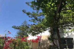Oleander, Rethymno