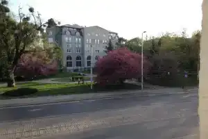 Alfa Apartments, Kaliningrad