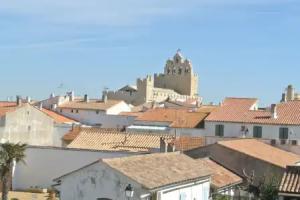 Hôtel Les Palmiers en Camargue, St. Maries-de-la-Mer