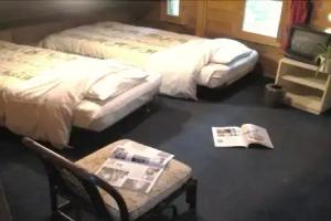 Alp Lodge, Hakuba
