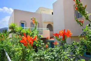 Lotus Studios, Malia