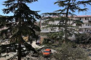 Apartments on Chekhova Street, Sochi