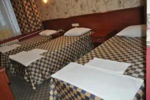 Saray Hotel, Edirne