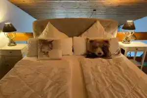Harzer Schatz - Bergpack Suite Hotel, Braunlage