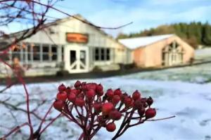 Veghús Guesthouse, Laugarvatn