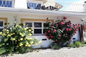 Parc Hotel Florian, Siusi